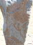 005 Deer Stone - detail
